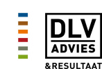 DLV Advies